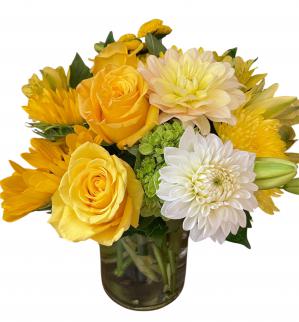 dalhia yellow mix